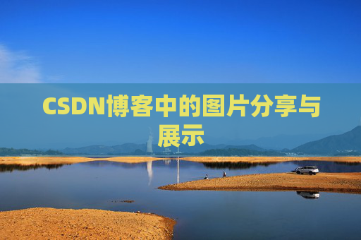 CSDN博客中的图片分享与展示